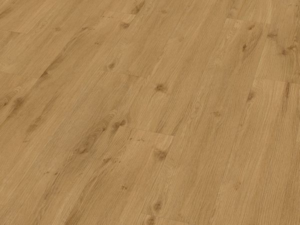 Klebe-Vinyl CHECK expert planks Standard Collection 2412E Julius Oak